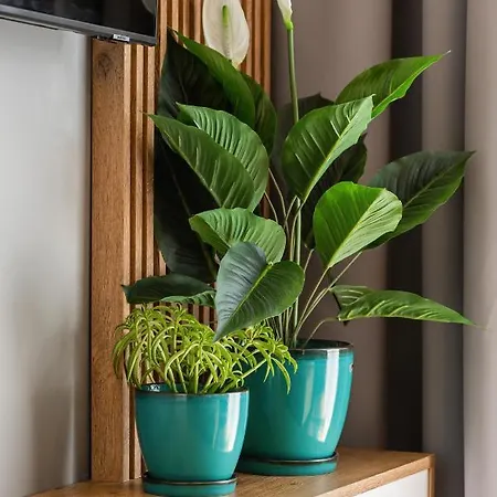 Apartament Baltini Premium Baltic Marina